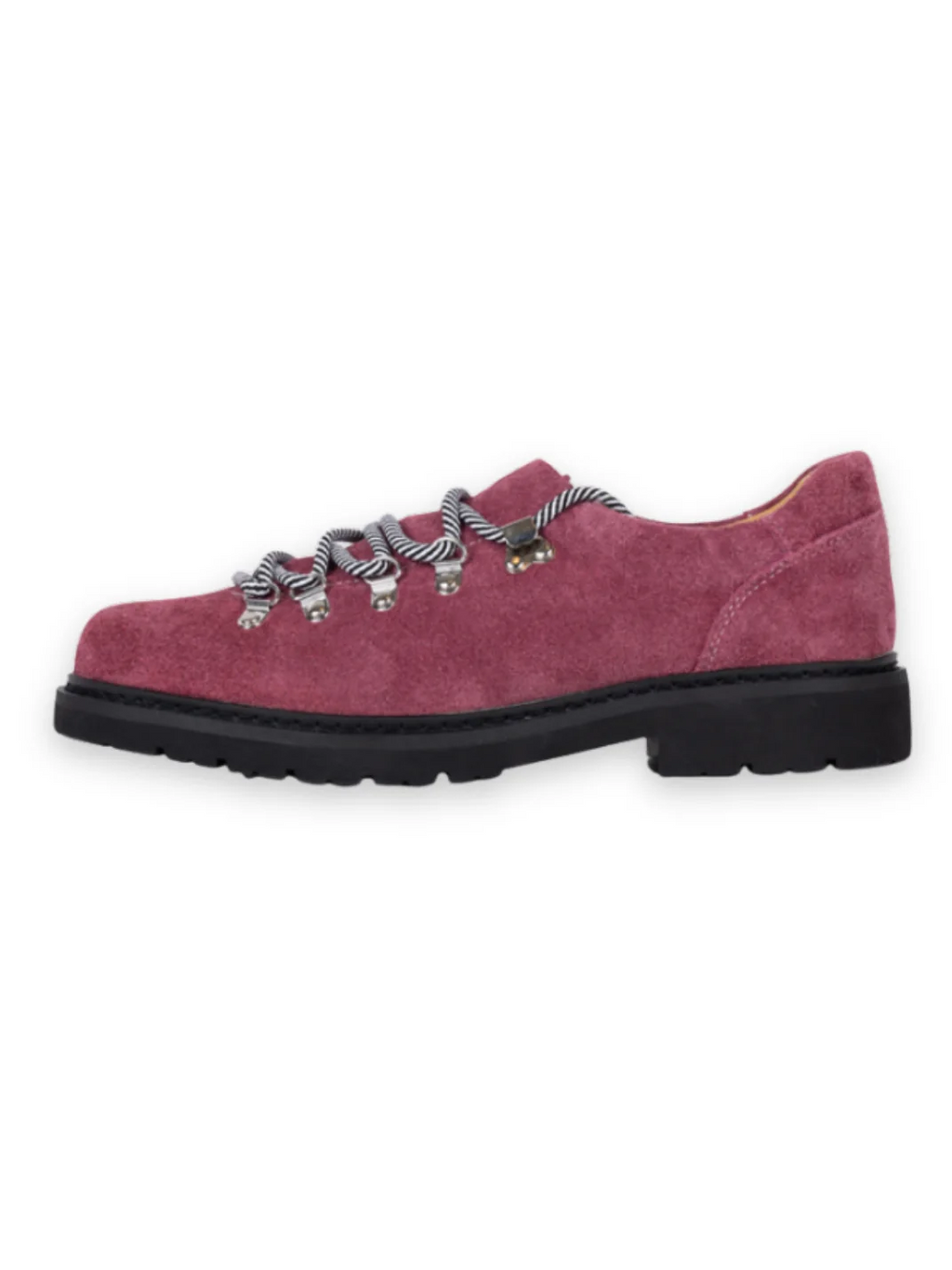 LINTFERE DERBY – Wildleder-Schuhe in Rosa
